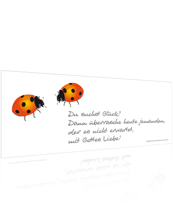 Haftfolie "Marienkäfer"